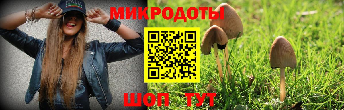 Ижевск  Псилоцибиновые грибы Psilocybine cubensis  Вход с VPN 